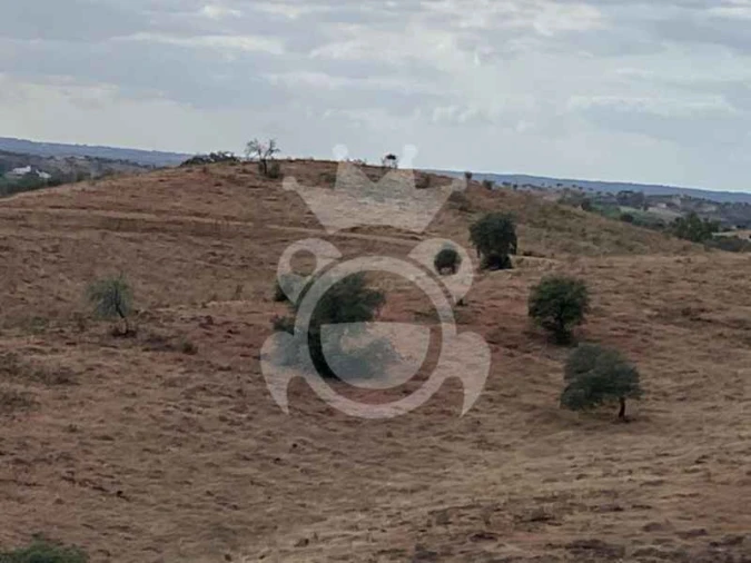 Quinta T0 para Venda em Serpa (Salvador e Santa Maria) Foto 8