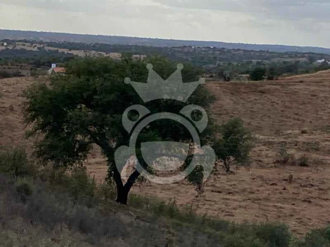 Quinta T0 para Venda em Serpa (Salvador e Santa Maria) Foto 9