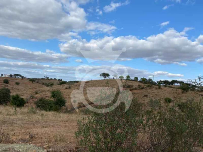 Quinta T0 para Venda em Serpa (Salvador e Santa Maria) Foto 6