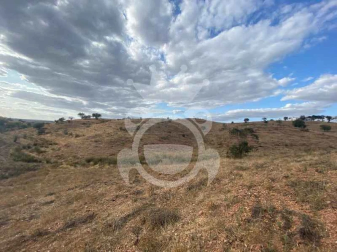 Quinta T0 para Venda em Serpa (Salvador e Santa Maria) Foto 7