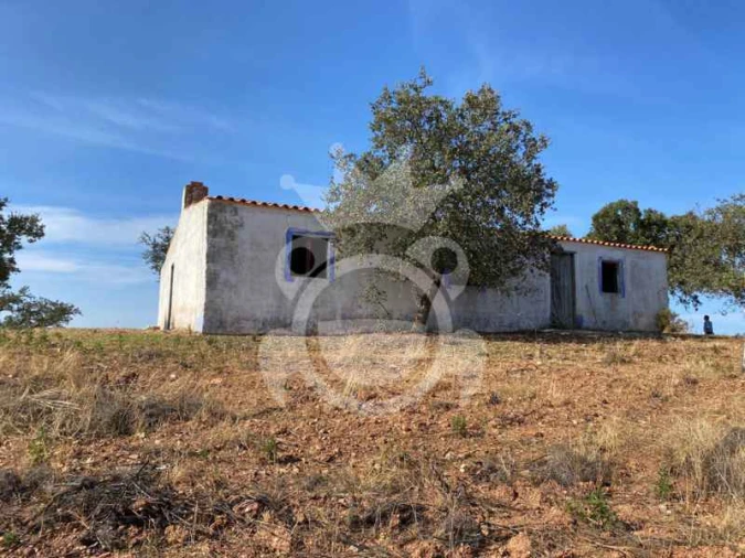 Quinta T0 para Venda em Serpa (Salvador e Santa Maria) Foto 4