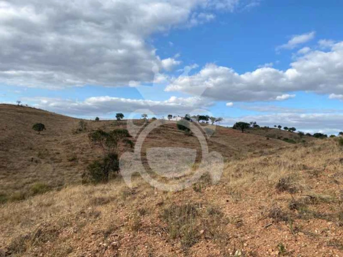 Quinta T0 para Venda em Serpa (Salvador e Santa Maria) Foto 5