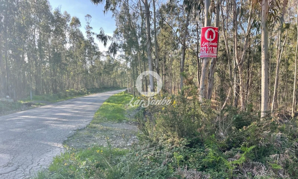 Terreno Agricola ou Rústico para Venda em Rates Foto 1