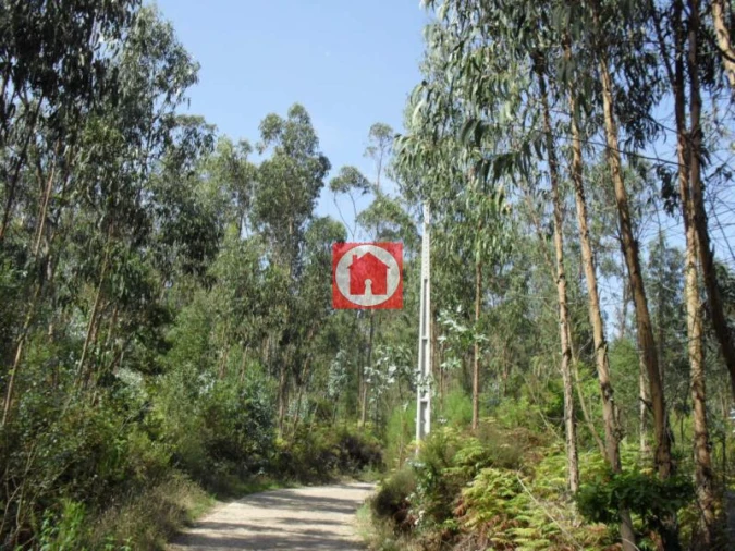 Terreno Agricola ou Rústico para Venda em Rates Foto 5