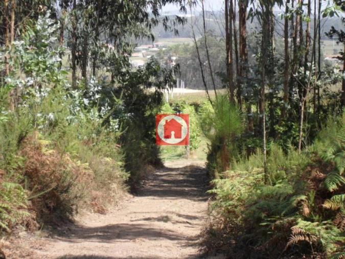 Terreno Agricola ou Rústico para Venda em Rates Foto 8