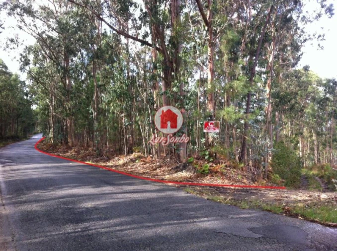Terreno Agricola ou Rústico para Venda em Rates Foto 2