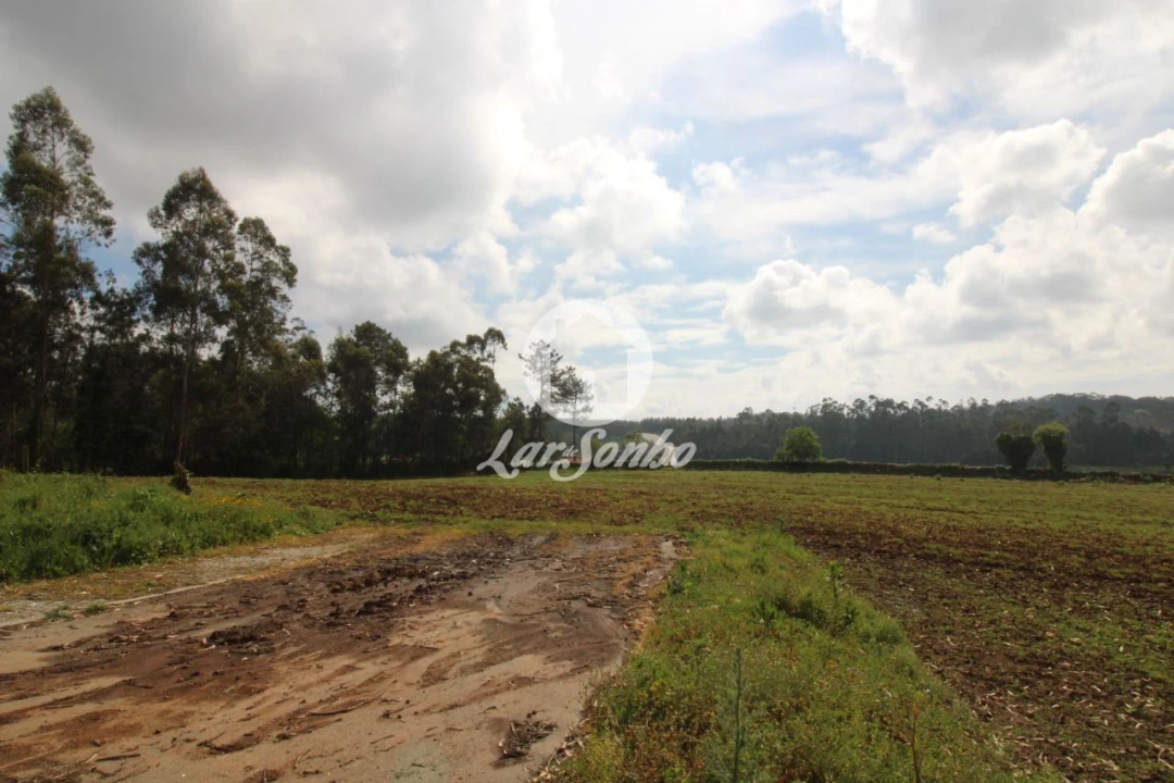 Terreno para Venda em Balazar Foto 2
