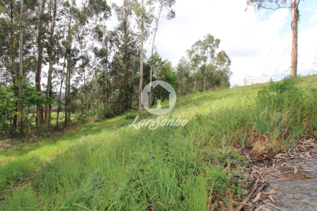 Terreno para Venda em Balazar Foto 4