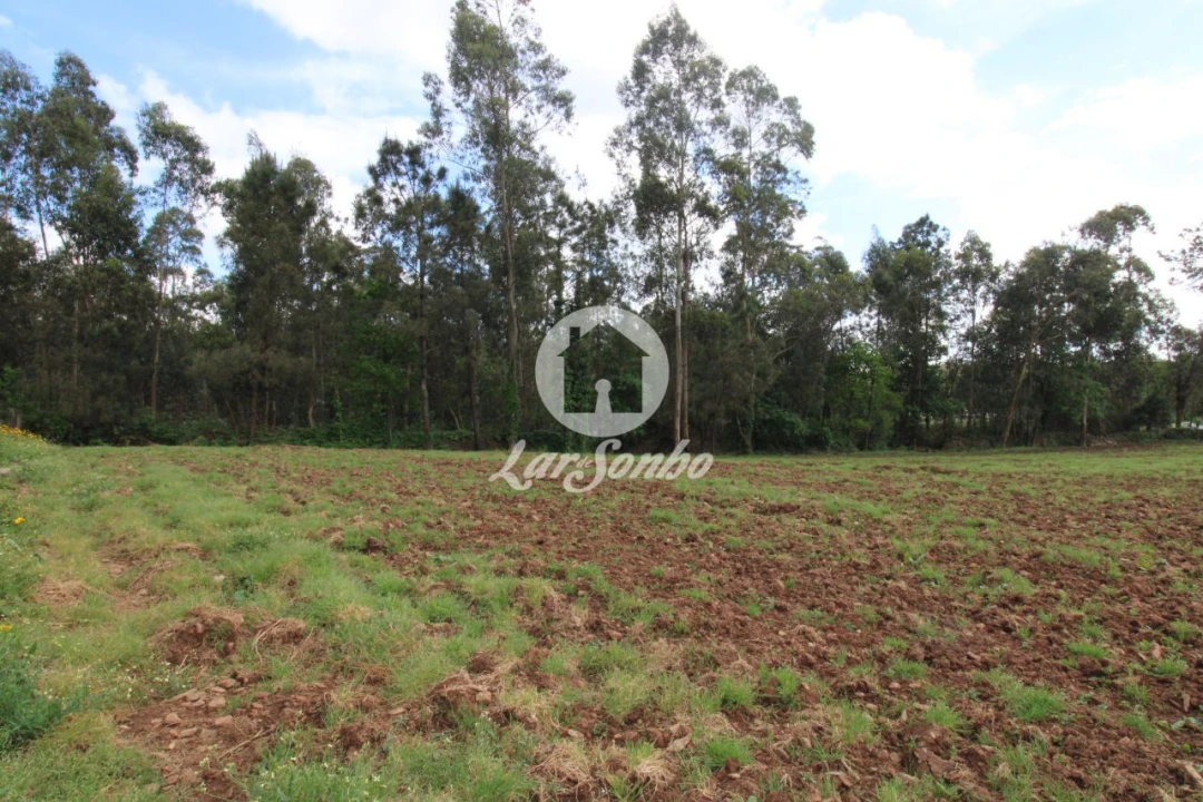 Terreno para Venda em Balazar Foto 5
