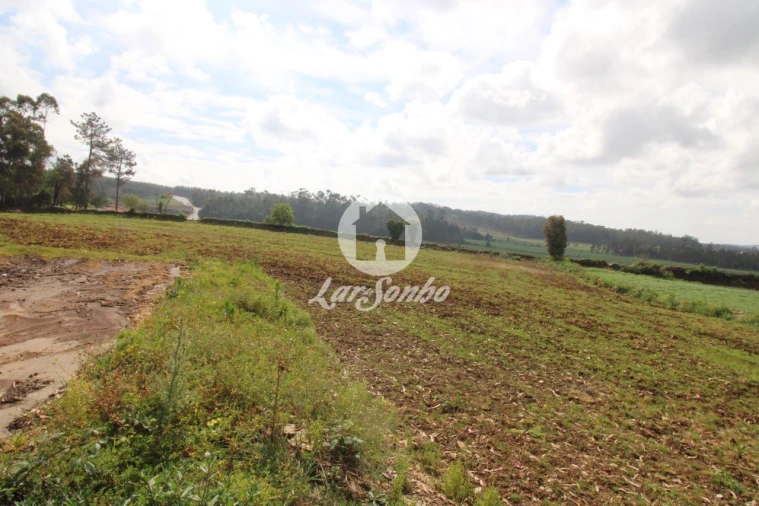 Terreno para Venda em Balazar Foto 1