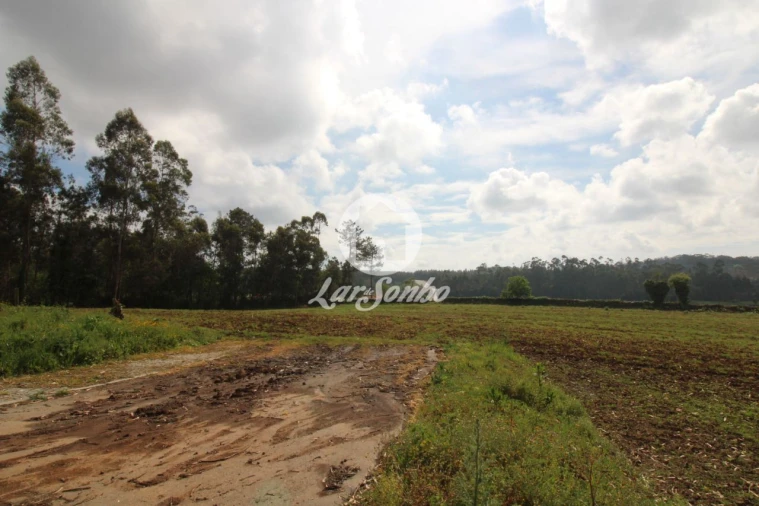Terreno para Venda em Balazar Foto 2