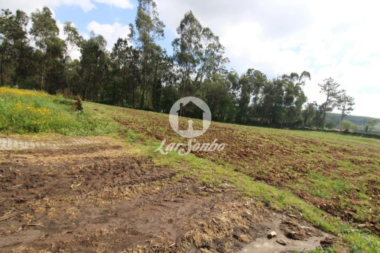 Terreno para Venda em Balazar Foto 3