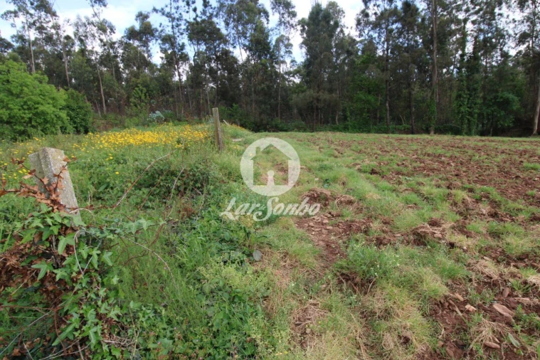 Terreno para Venda em Balazar Foto 6