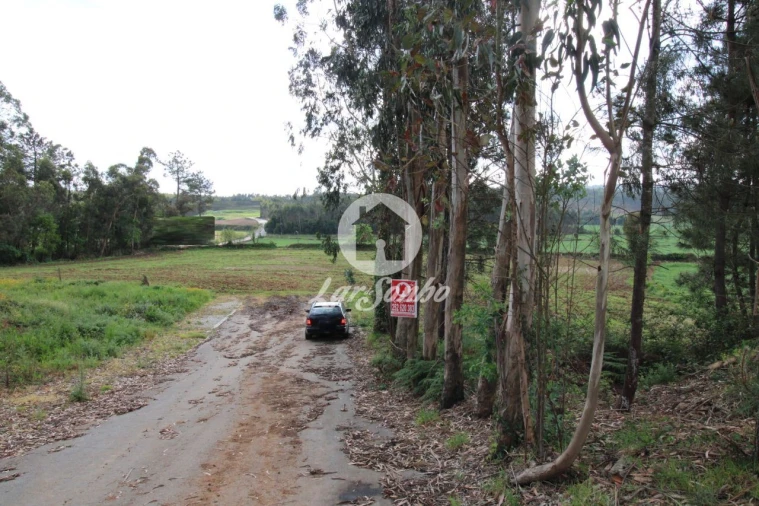 Terreno para Venda em Balazar Foto 7