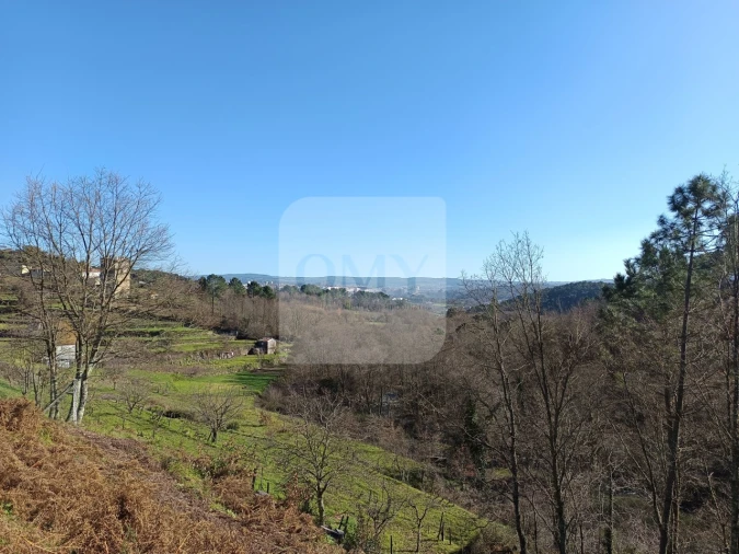 Terreno para Venda em Vila Marim Foto 3