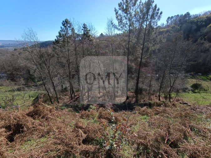 Terreno para Venda em Vila Marim Foto 8