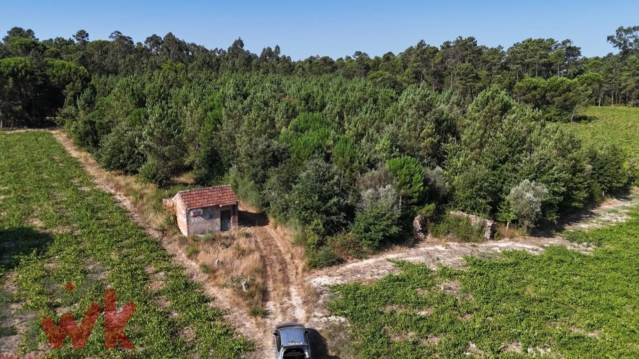 Terreno Agricola ou Rústico para Venda em Canas de Senhorim Foto 13