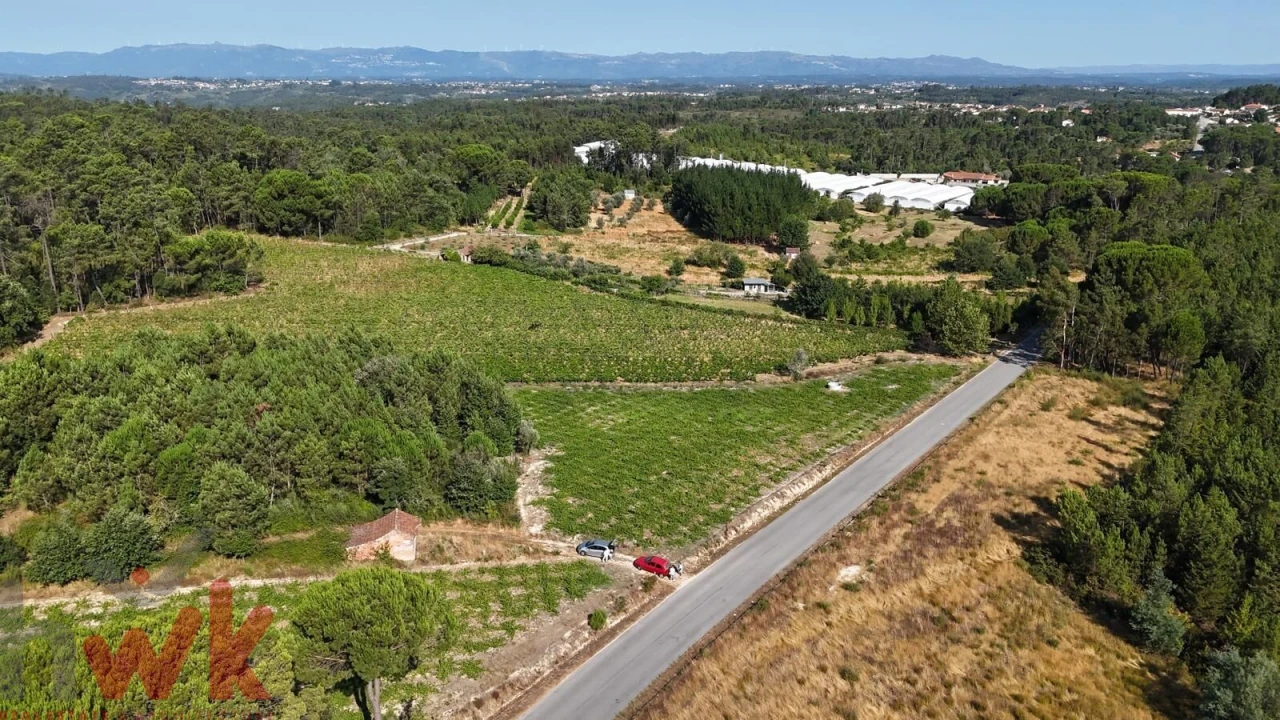 Terreno Agricola ou Rústico para Venda em Canas de Senhorim Foto 14