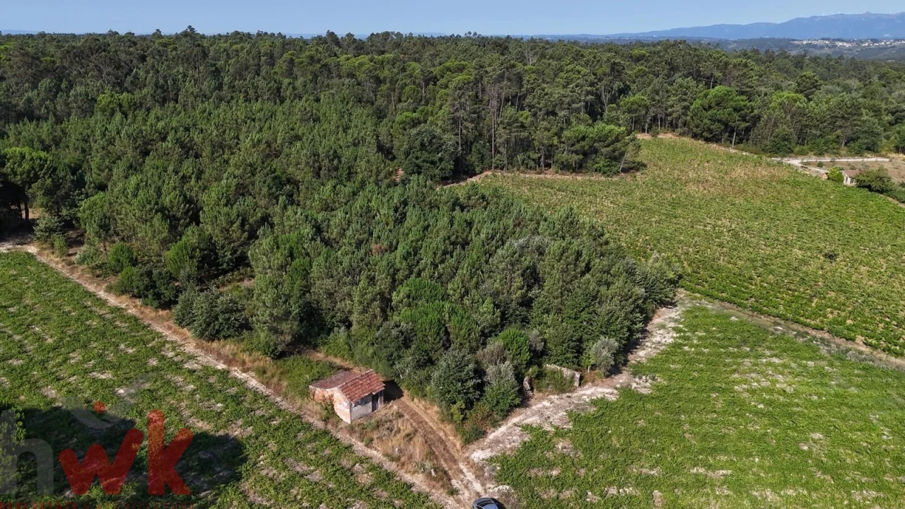 Terreno Agricola ou Rústico para Venda em Canas de Senhorim Foto 16