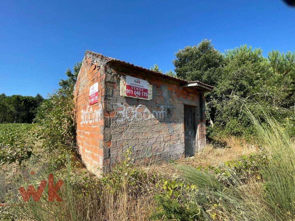 Terreno Agricola ou Rústico para Venda em Canas de Senhorim Foto 2