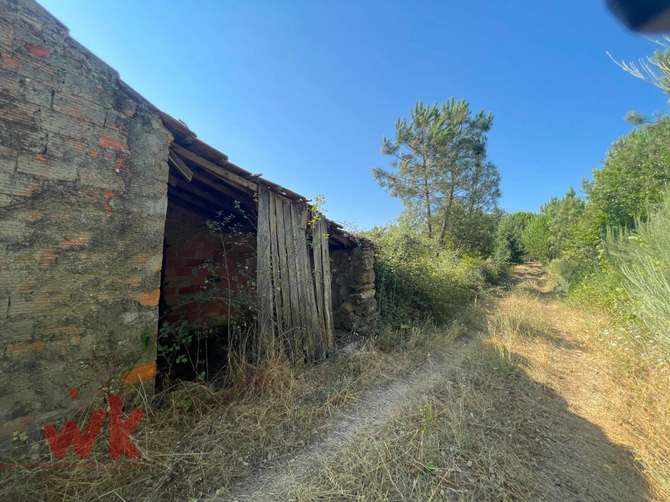 Terreno Agricola ou Rústico para Venda em Canas de Senhorim Foto 24