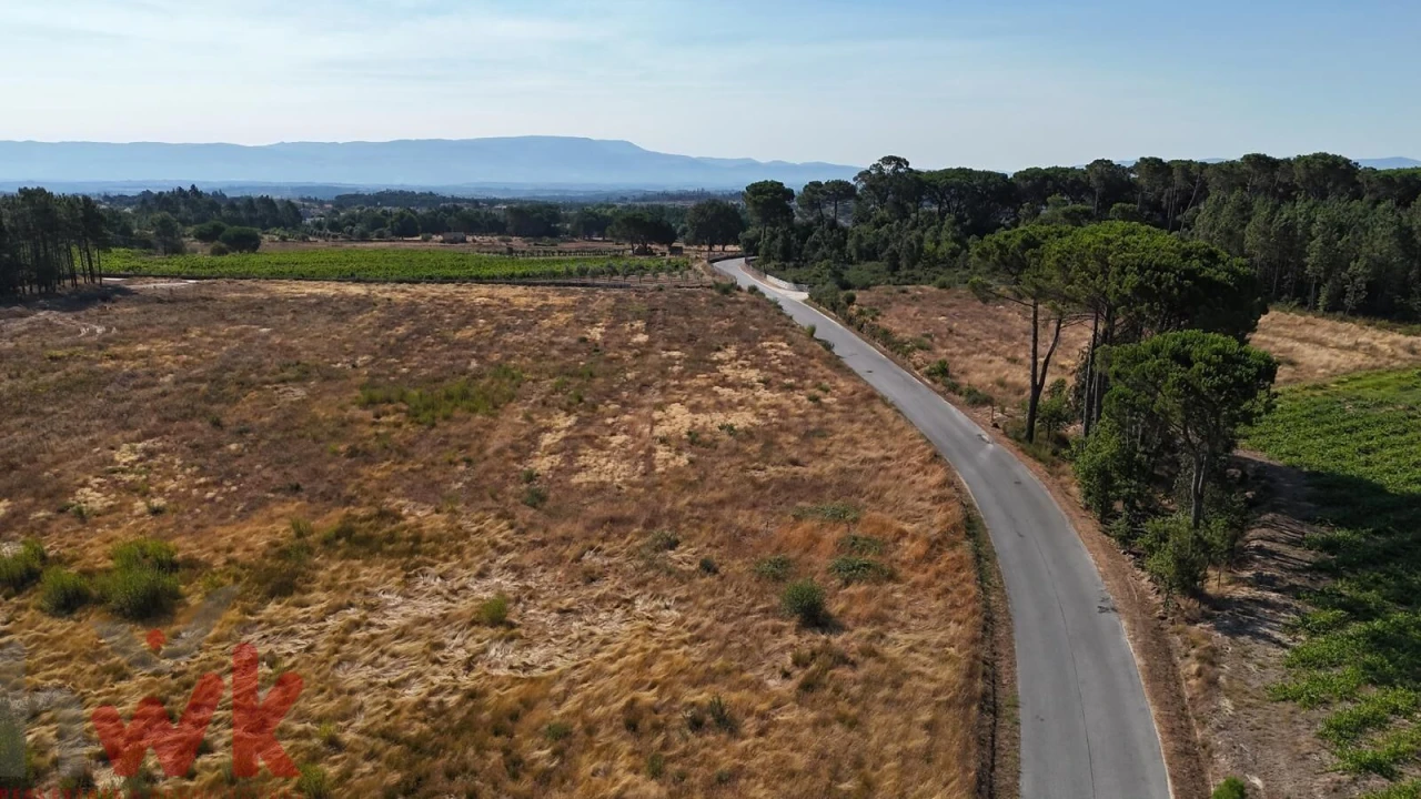 Terreno Agricola ou Rústico para Venda em Canas de Senhorim Foto 26