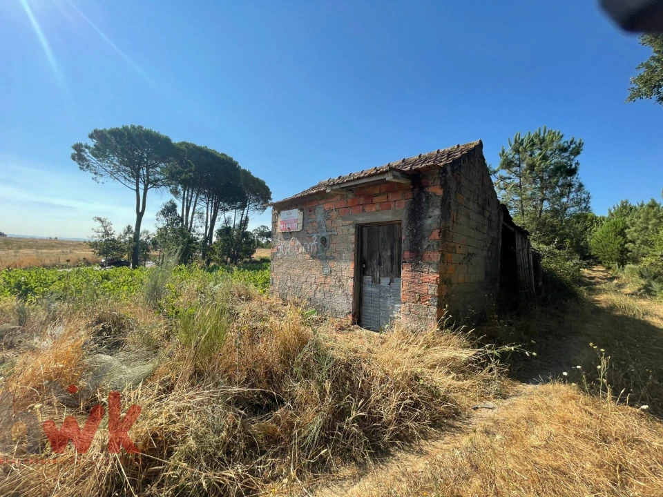 Terreno Agricola ou Rústico para Venda em Canas de Senhorim Foto 3