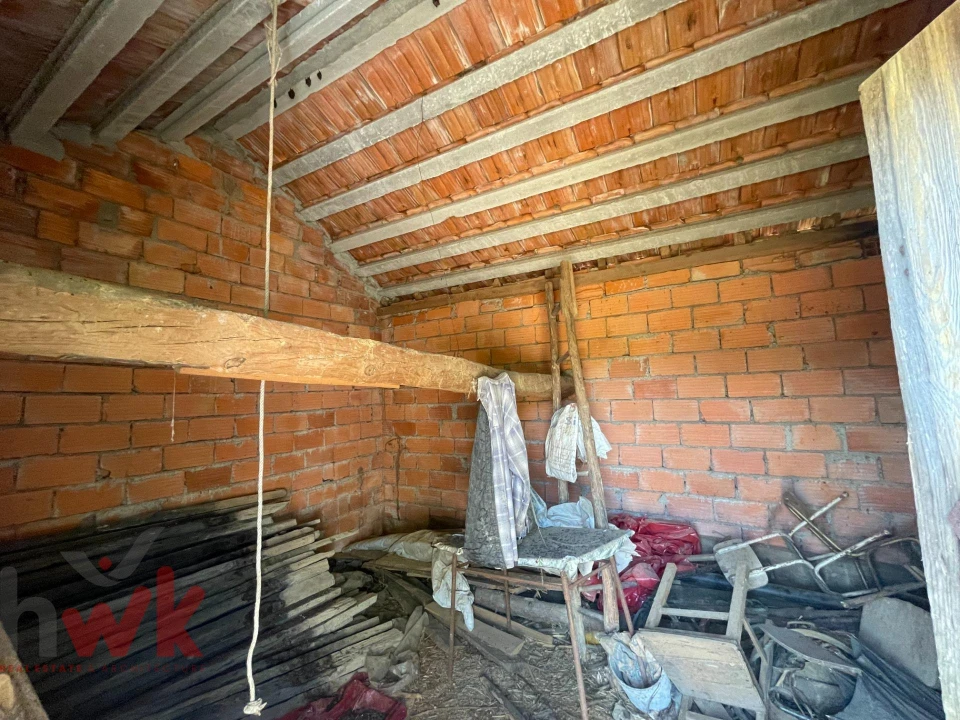 Terreno Agricola ou Rústico para Venda em Canas de Senhorim Foto 5