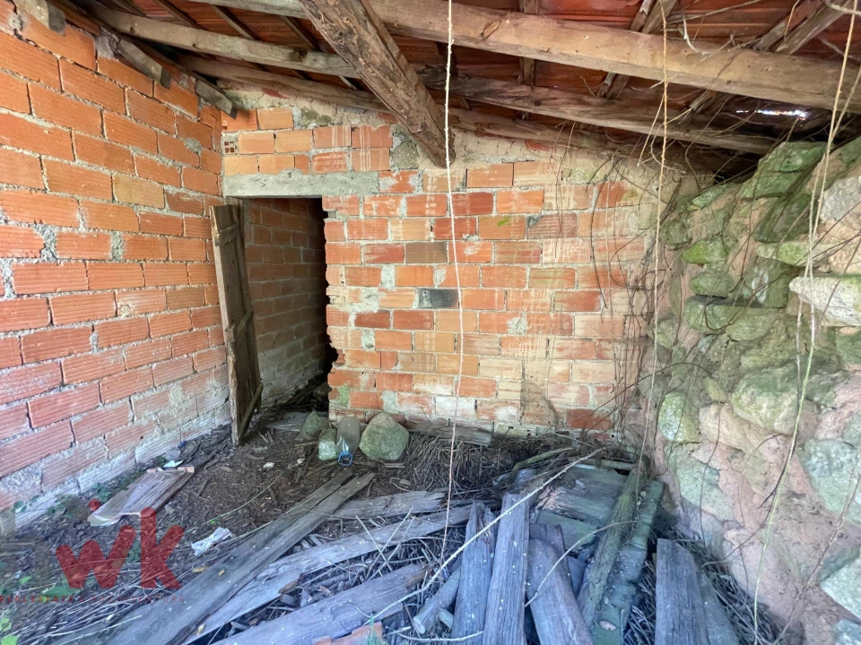 Terreno Agricola ou Rústico para Venda em Canas de Senhorim Foto 6