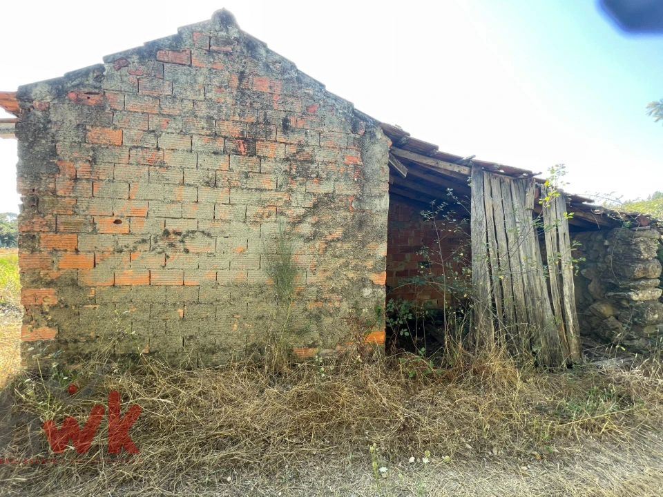 Terreno Agricola ou Rústico para Venda em Canas de Senhorim Foto 7