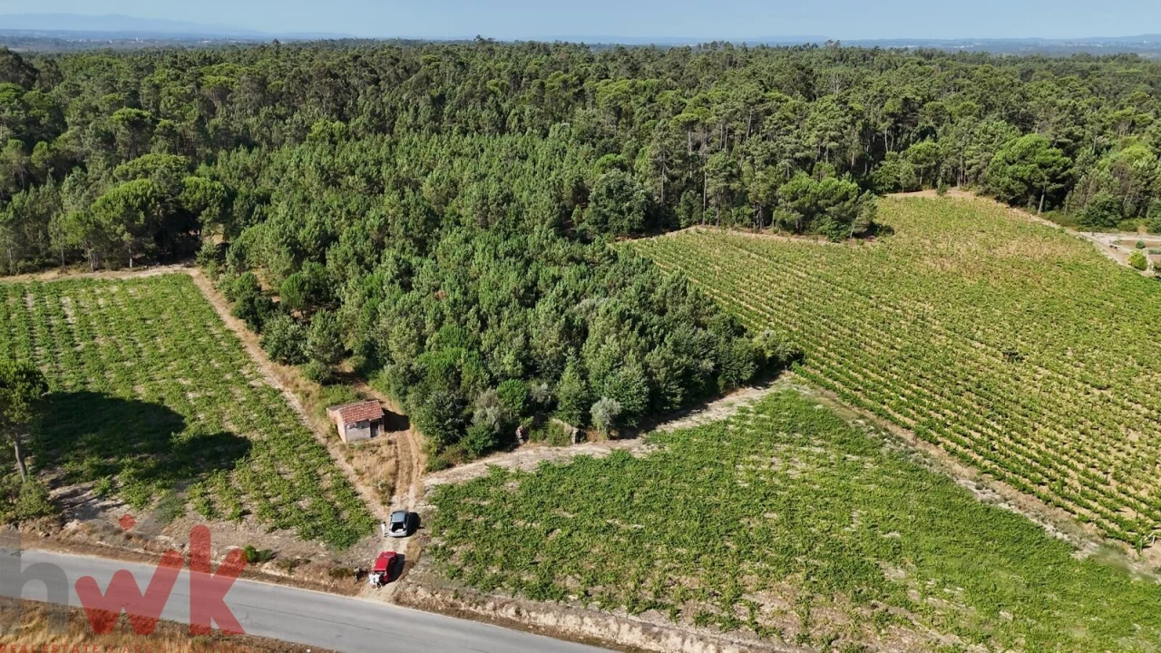 Terreno Agricola ou Rústico para Venda em Canas de Senhorim Foto 8