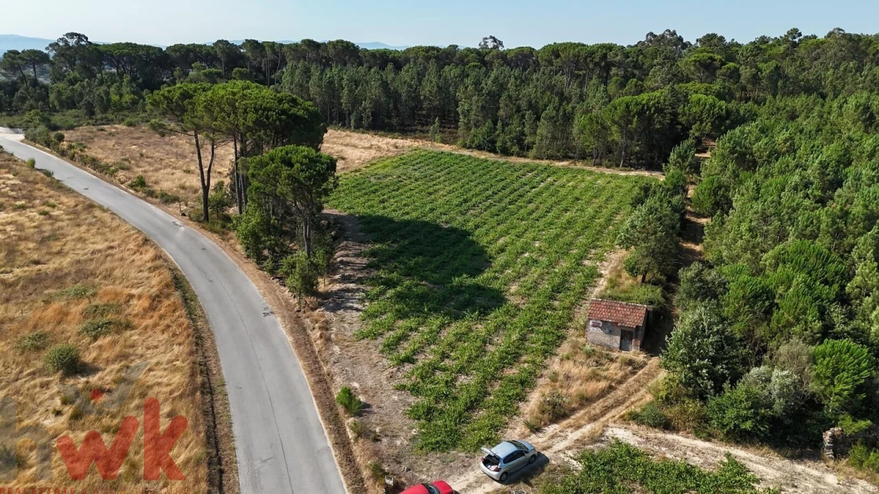 Terreno Agricola ou Rústico para Venda em Canas de Senhorim Foto 9