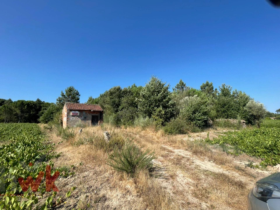 Terreno Agricola ou Rústico para Venda em Canas de Senhorim Foto 22