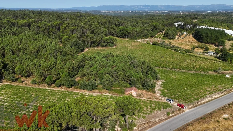 Terreno Agricola ou Rústico para Venda em Canas de Senhorim Foto 15