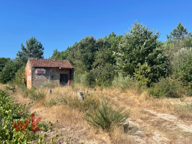 Terreno Agricola ou Rústico para Venda em Canas de Senhorim Foto 21