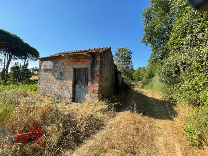 Terreno Agricola ou Rústico para Venda em Canas de Senhorim Foto 25