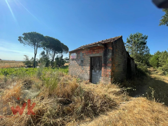 Terreno Agricola ou Rústico para Venda em Canas de Senhorim Foto 3