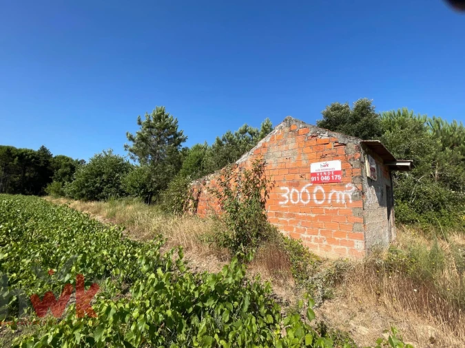 Terreno Agricola ou Rústico para Venda em Canas de Senhorim Foto 23