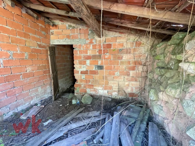 Terreno Agricola ou Rústico para Venda em Canas de Senhorim Foto 6