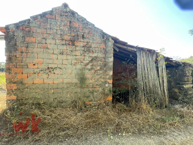 Terreno Agricola ou Rústico para Venda em Canas de Senhorim Foto 7