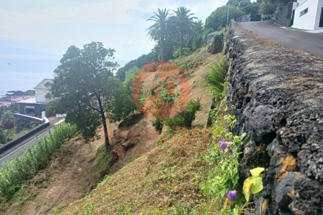 Terreno para Venda em Calheta Foto 5