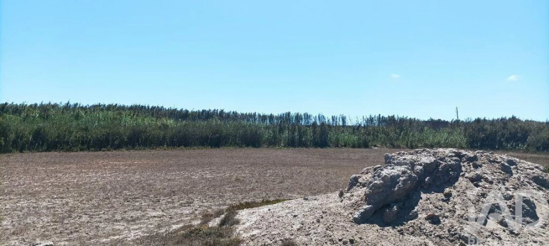 Terreno para Venda em Ferrel Foto 22