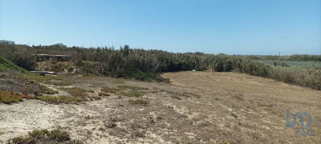 Terreno para Venda em Ferrel Foto 12