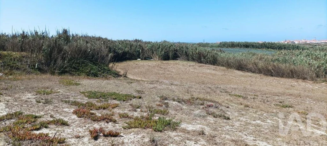 Terreno para Venda em Ferrel Foto 29