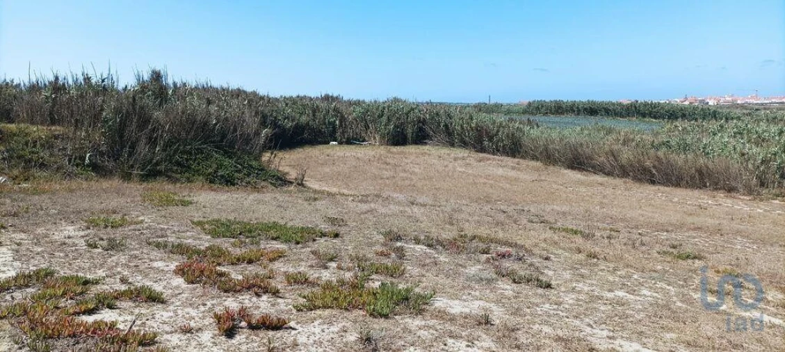 Terreno para Venda em Ferrel Foto 5