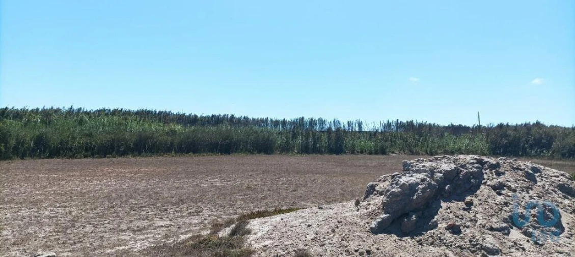 Terreno para Venda em Ferrel Foto 4