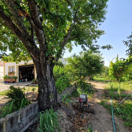 Quinta T3 para Venda em Sé e São Lourenço Foto 8