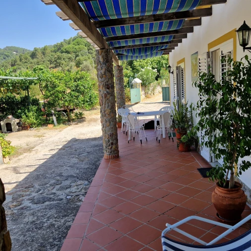 Quinta T3 para Venda em Sé e São Lourenço Foto 4