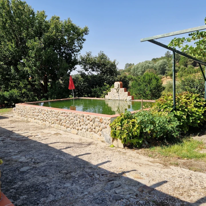 Quinta T3 para Venda em Sé e São Lourenço Foto 10