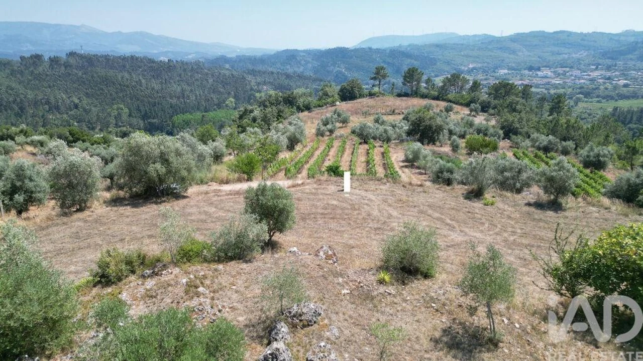 Terreno para Venda em Podentes Foto 18